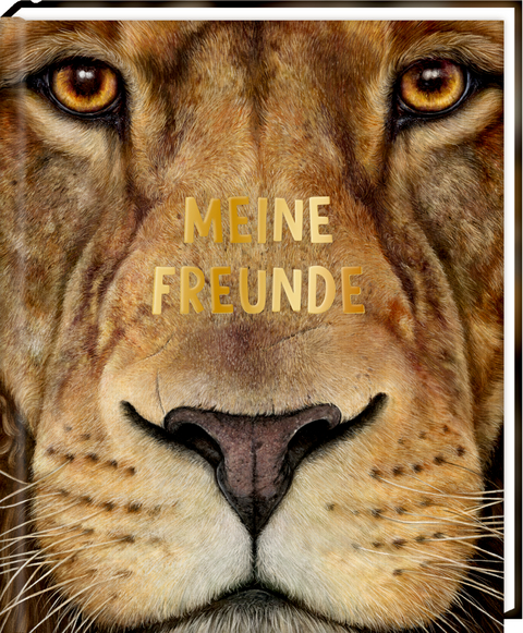 Freundebuch – Meine Freunde