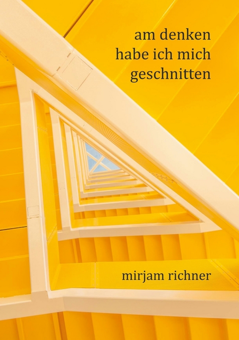 Am Denken habe ich mich geschnitten - Mirjam Richner