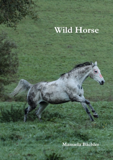 Wild Horse - Manuela B&auml;chler