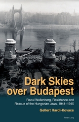 Dark Skies over Budapest - Gellert Hardi-Kovacs