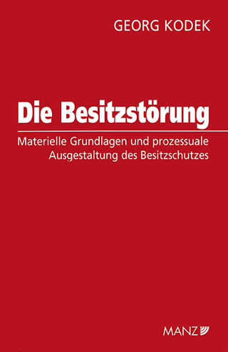 Die Besitzstörung
