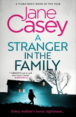 A Stranger in the Family - Jane Casey