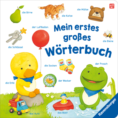 Mein erstes gro&szlig;es W&ouml;rterbuch - Hannelore Dierks
