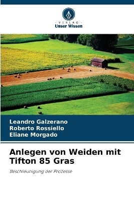 Anlegen von Weiden mit Tifton 85 Gras