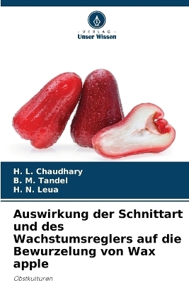 Auswirkung der Schnittart und des Wachstumsreglers auf die Bewurzelung von Wax apple