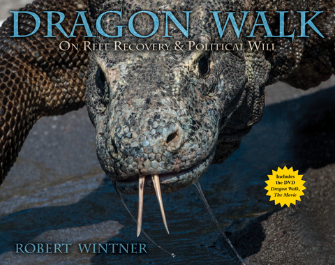 Dragon Walk -  Robert Wintner