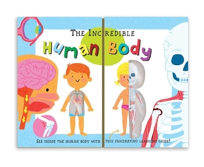 The Incredible Human Body