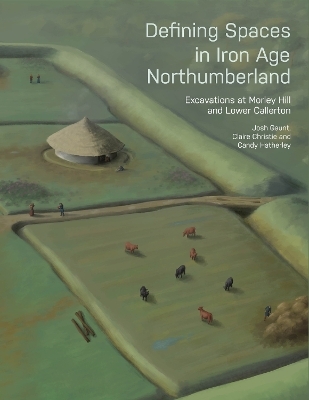Defining Spaces in Iron Age Northumberland - Josh Gaunt, Claire Christie, Candy Hatherley