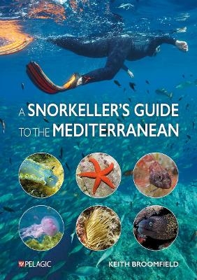 A Snorkeller&rsquo;s Guide to the Mediterranean - Keith Broomfield
