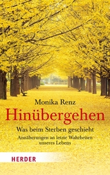 Hin&uuml;bergehen -  Monika Renz