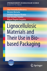 Lignocellulosic Materials and Their Use in Bio-based Packaging - Lina Fernanda Ballesteros, Michele Michelin, António Augusto Vicente, José António Teixeira, Miguel Ângelo Cerqueira