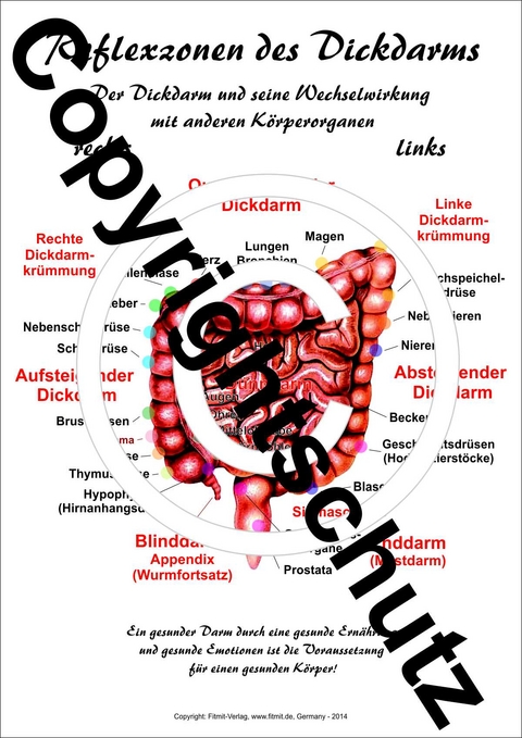 Reflexzonen des Dickdarms - Tanja Aeckersberg