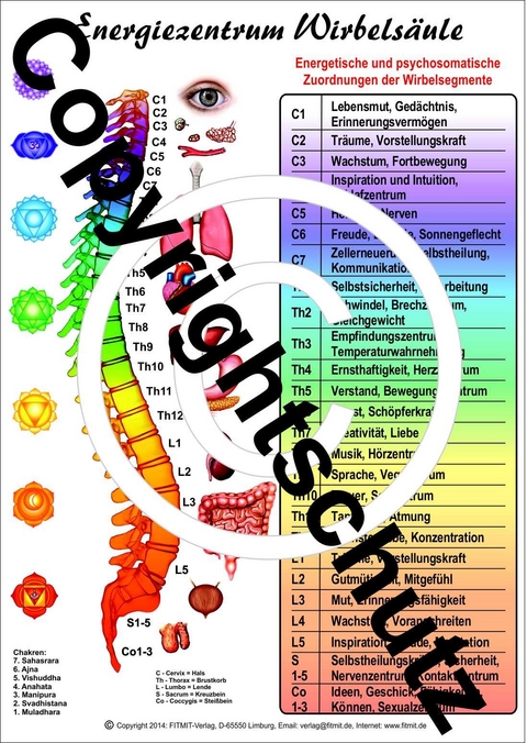 Energiezentrum Wirbels&auml;ule - Tanja Aeckersberg