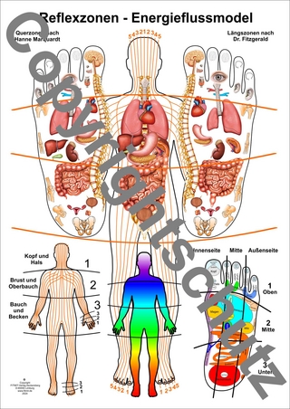 Reflexzonen - Energieflussmodel