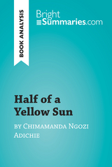 Half of a Yellow Sun by Chimamanda Ngozi Adichie (Book Analysis) - Bright Summaries