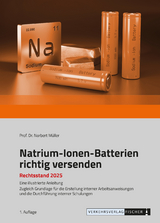 Natrium-Ionen-Batterien richtig versenden - Norbert Prof. Dr. M&uuml;ller