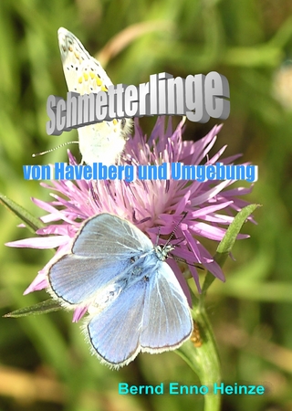Schmetterlinge von Havelberg und Umgebung