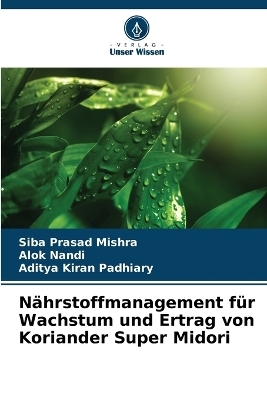 Nährstoffmanagement für Wachstum und Ertrag von Koriander Super Midori