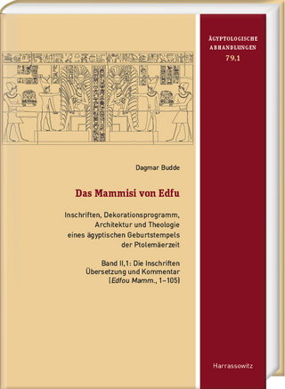 Das Mammisi von Edfu. Inschriften, Dekorationsprogramm, Architektur und Theologie eines ägyptischen Geburtstempels der Ptolemäerzeit