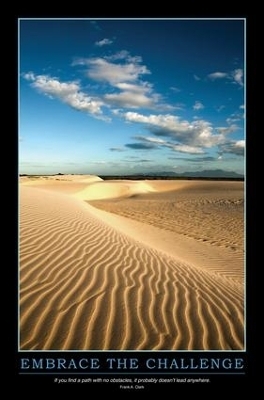 Embrace the Challenge Poster -  Enna