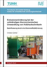 Emissionsminderung bei der vollst&auml;ndigen thermochemischen Umwandlung von Holzhackschnitzeln - Christian Gollmer