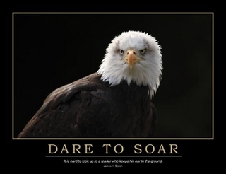 Dare to Soar Poster