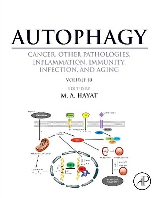 Autophagy: Cancer, Other Pathologies, Inflammation, Immunity, Infection, and Aging