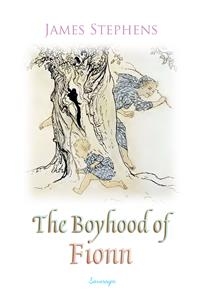 Boyhood of Fionn