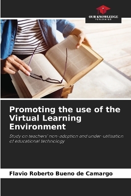 Promoting the use of the Virtual Learning Environment - Flavio Roberto Bueno de Camargo