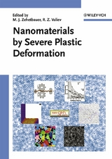 Nanomaterials by Severe Plastic Deformation - 