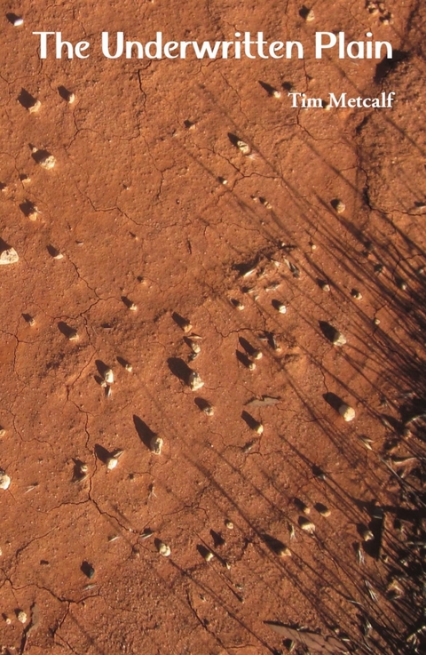 The Underwritten Plain - Tim Metcalf