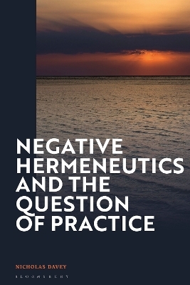 Negative Hermeneutics and the Question of Practice - Professor Nicholas Davey