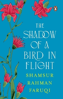 The Shadow of A Bird in Flight