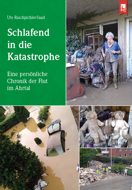 Schlafend in die Katastrophe - Ute Raschpichler-Saad