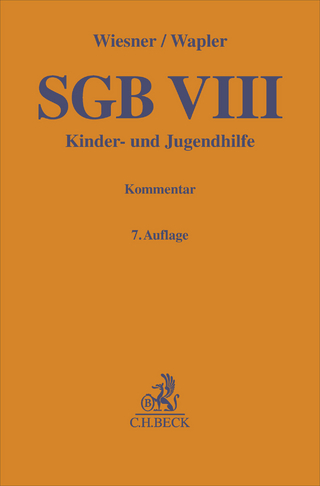 SGB VIII