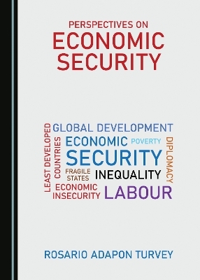 Perspectives on Economic Security