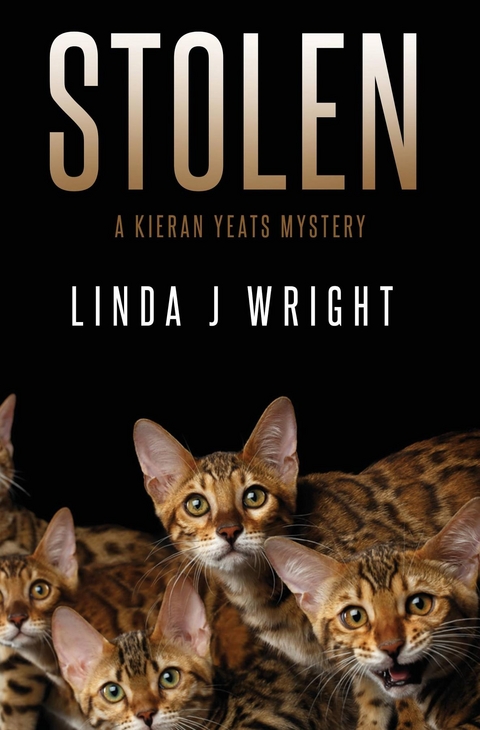 Stolen - Linda J Wright