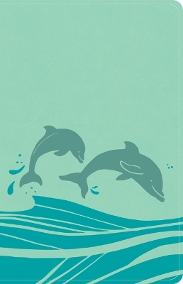 KJV Easy-For-Me Bible for Early Readers, Seafoam Leathertouch -  Holman Bible Publishers