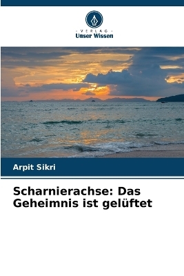 Scharnierachse - Arpit Sikri