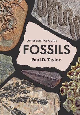 Fossils