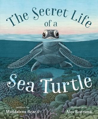 The Secret Life of a Sea Turtle