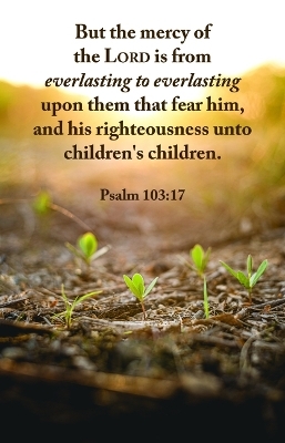 Legacy Bulletin: The Mercy (Package of 100)