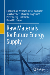 Raw Materials for Future Energy Supply - Friedrich-W. Wellmer, Peter Buchholz, Jens Gutzmer, Christian Hagelüken, Peter Herzig, Ralf Littke, Rudolf K. Thauer