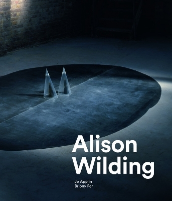Alison Wilding - Jo Applin