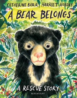 A Bear Belongs - Catherine Barr