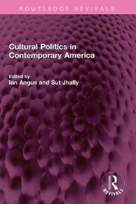 Cultural Politics in Contemporary America - 