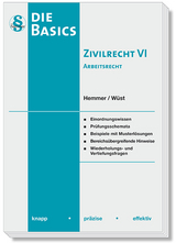 Basics Zivilrecht VI - Arbeitsrecht - Karl-Edmund Hemmer, Achim W&uuml;st, Clemens D'Alquen