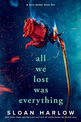 All We Lost Was Everything