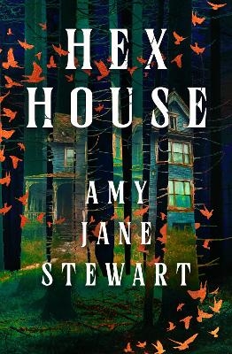 Hex House - Amy Jane Stewart