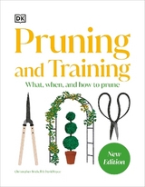 Pruning and Training - Dk